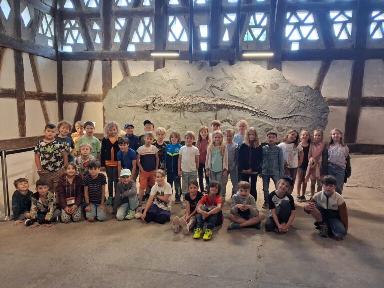 Klassenausflug der Klassen 1 und 2 ins Urzeitmuseum Bodman