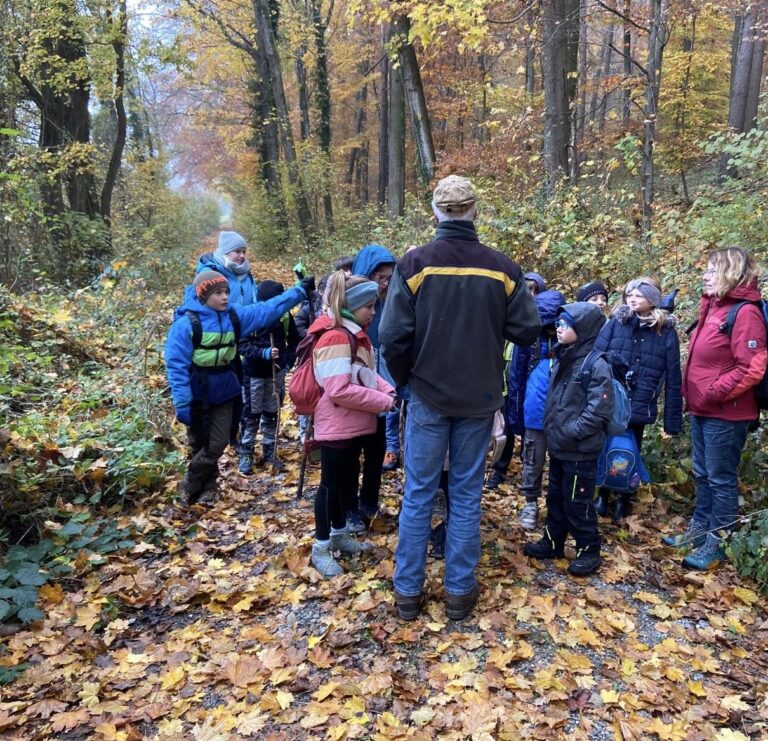 Dem Wald auf der Spur